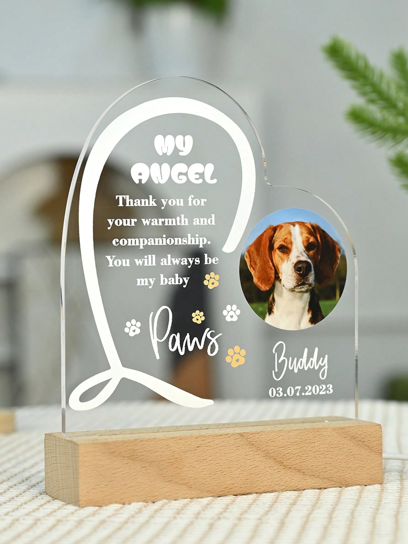 Personalized Music LED Night Light