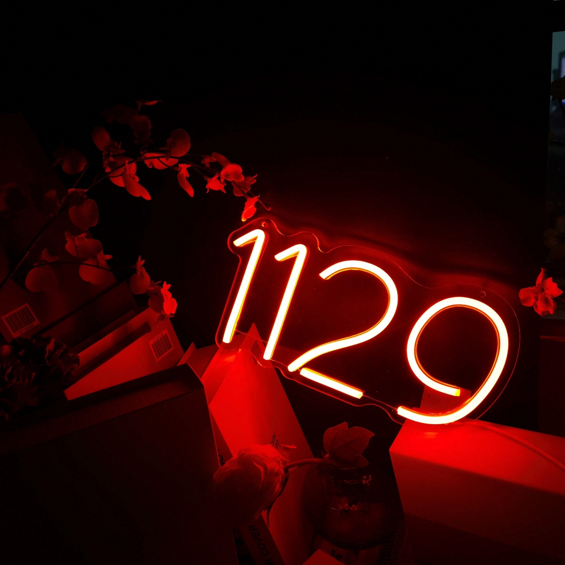 Custom Dimmable Neon Wall Sign