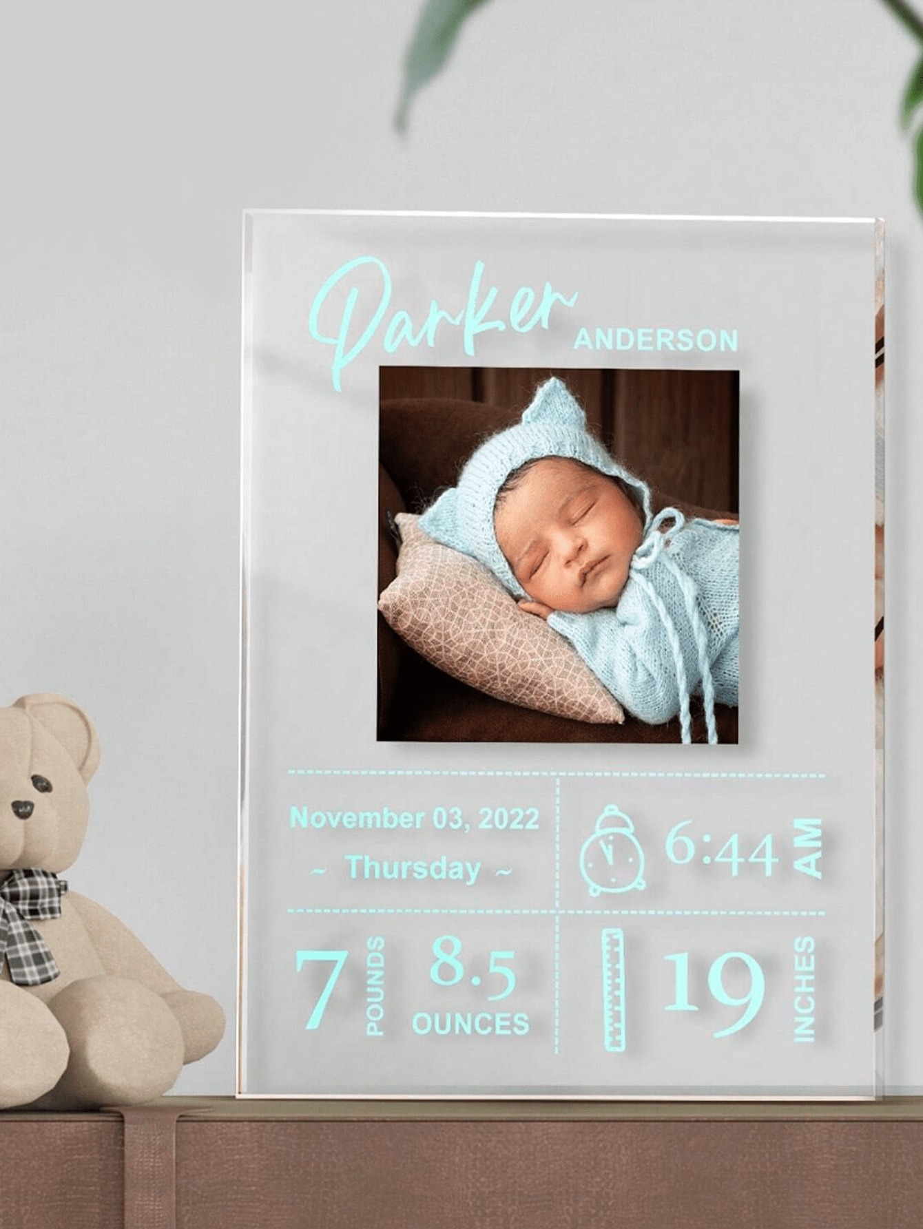 Personalized Acrylic Baby Birth Plaque