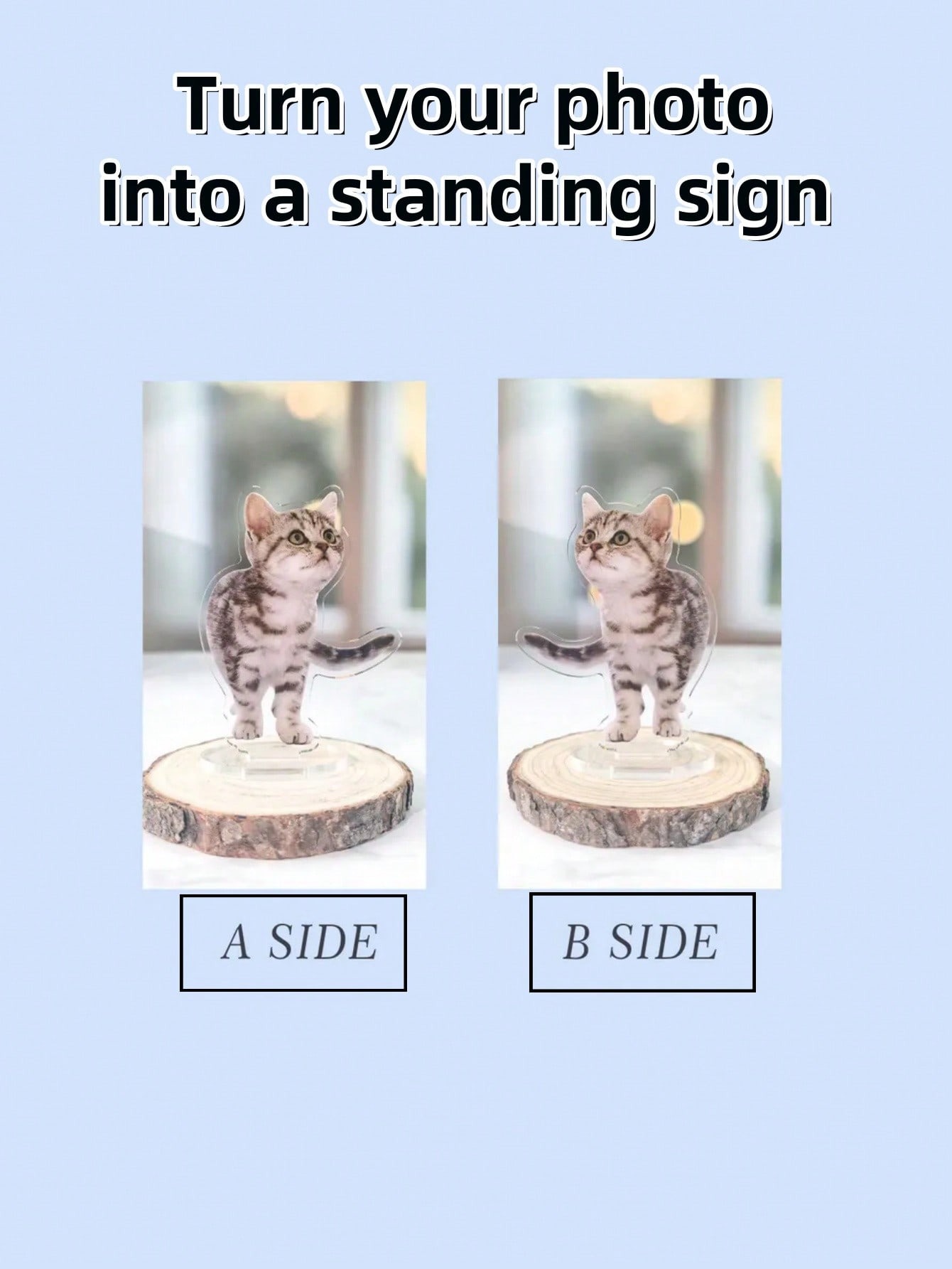 DIY Acrylic Pet Photo Desk Decor