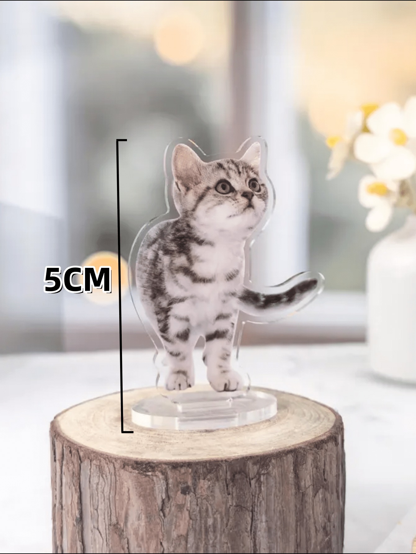 DIY Acrylic Pet Photo Desk Decor
