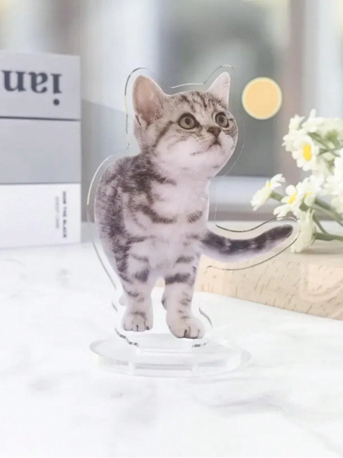 DIY Acrylic Pet Photo Desk Decor
