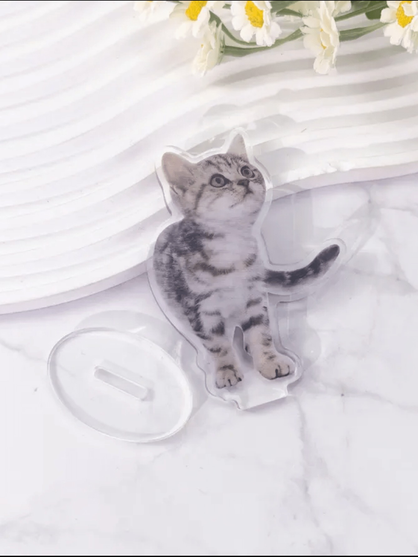 DIY Acrylic Pet Photo Desk Decor