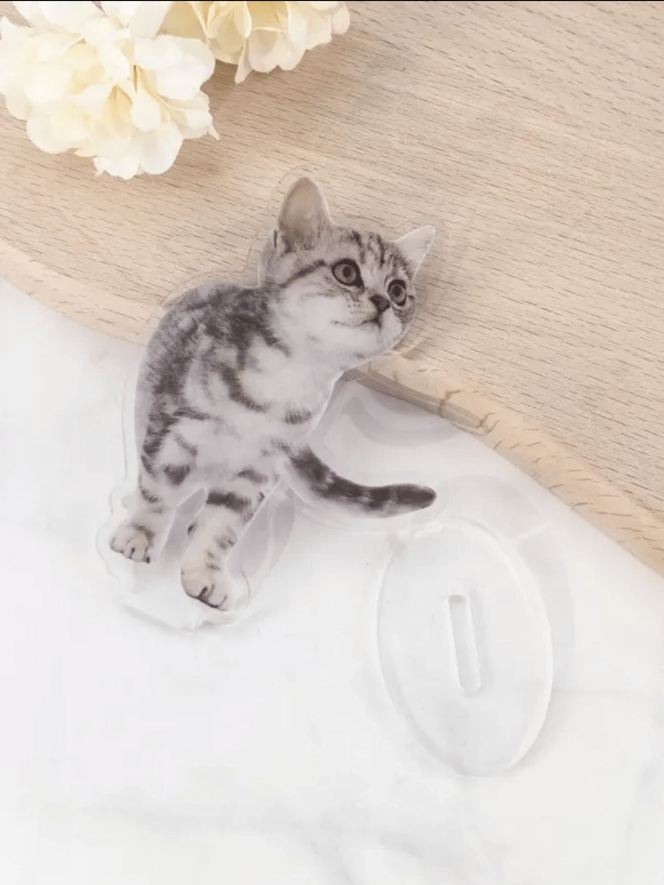 DIY Acrylic Pet Photo Desk Decor