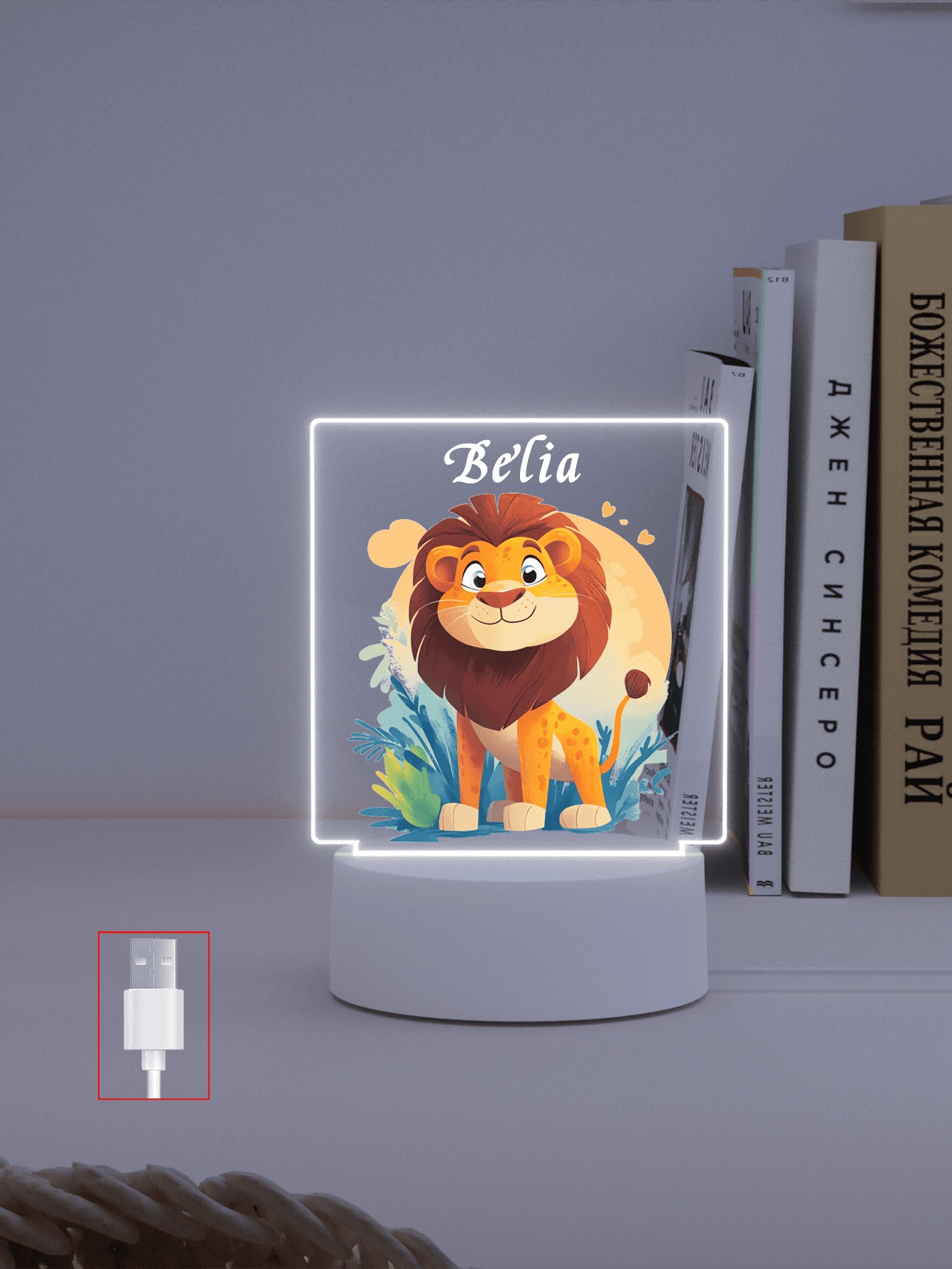 Personalized Photo Music LED Plaque