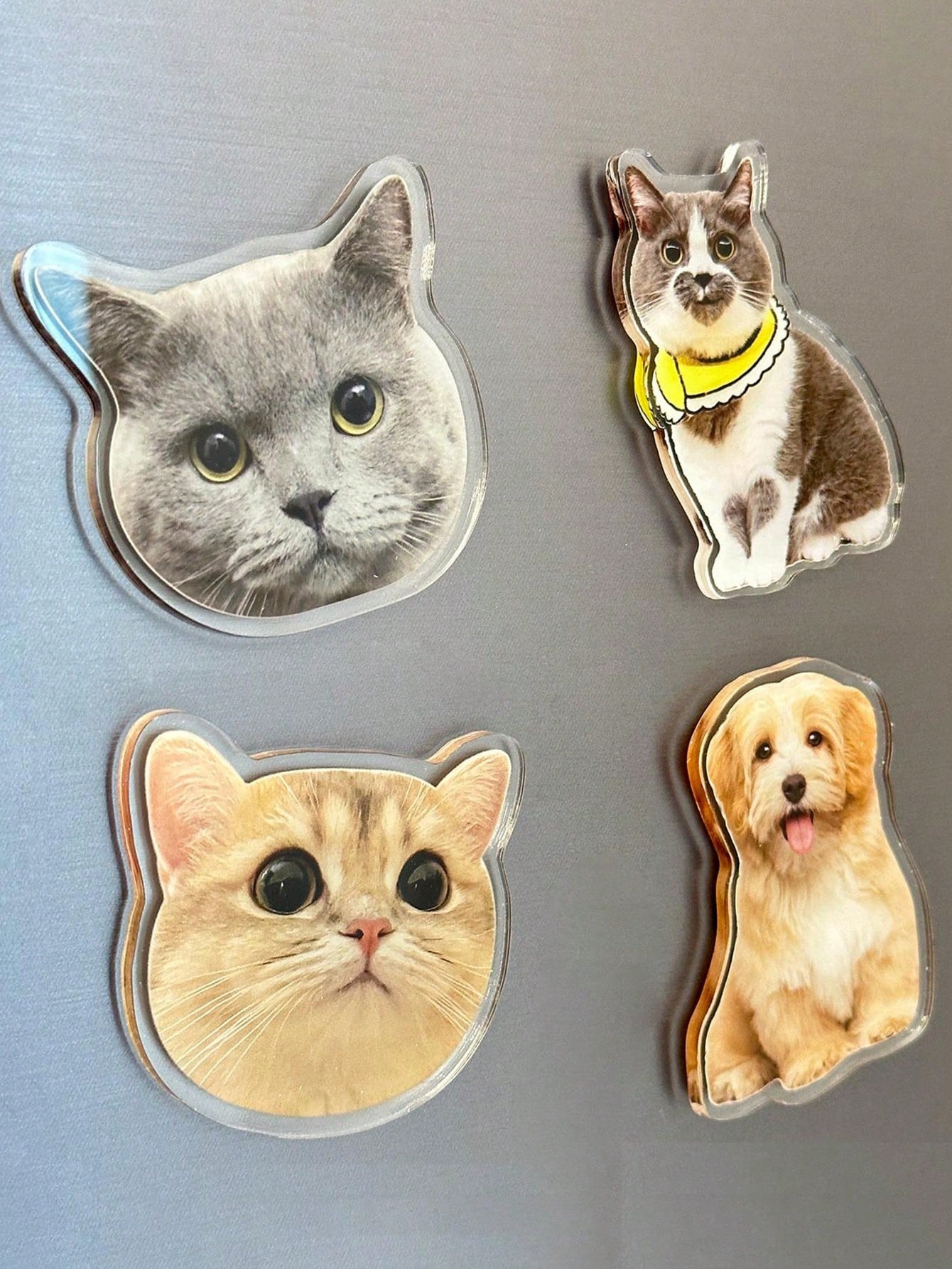Acrylic Photo Magnets – Irregular-Shaped Fridge Decoration