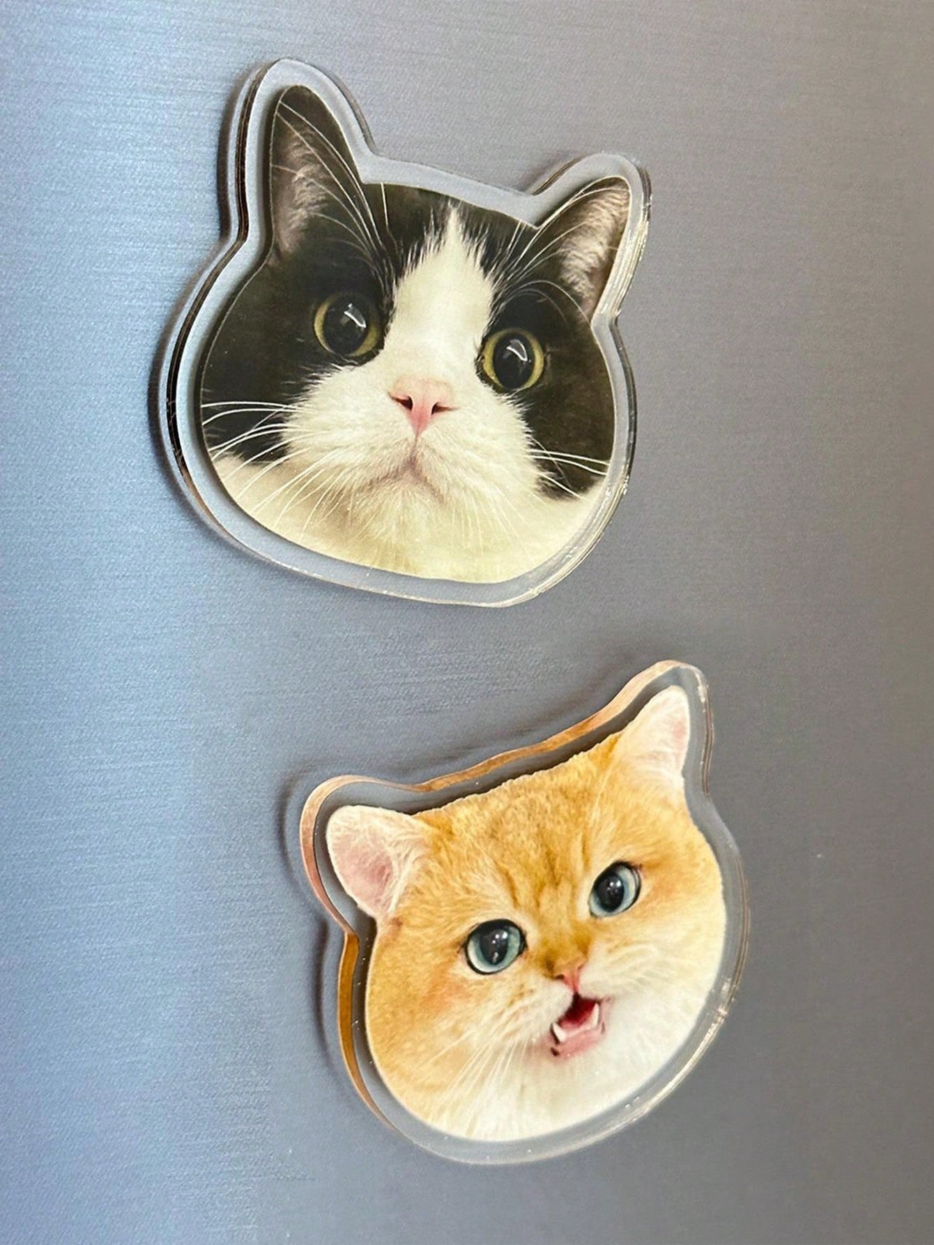 Acrylic Photo Magnets – Irregular-Shaped Fridge Decoration