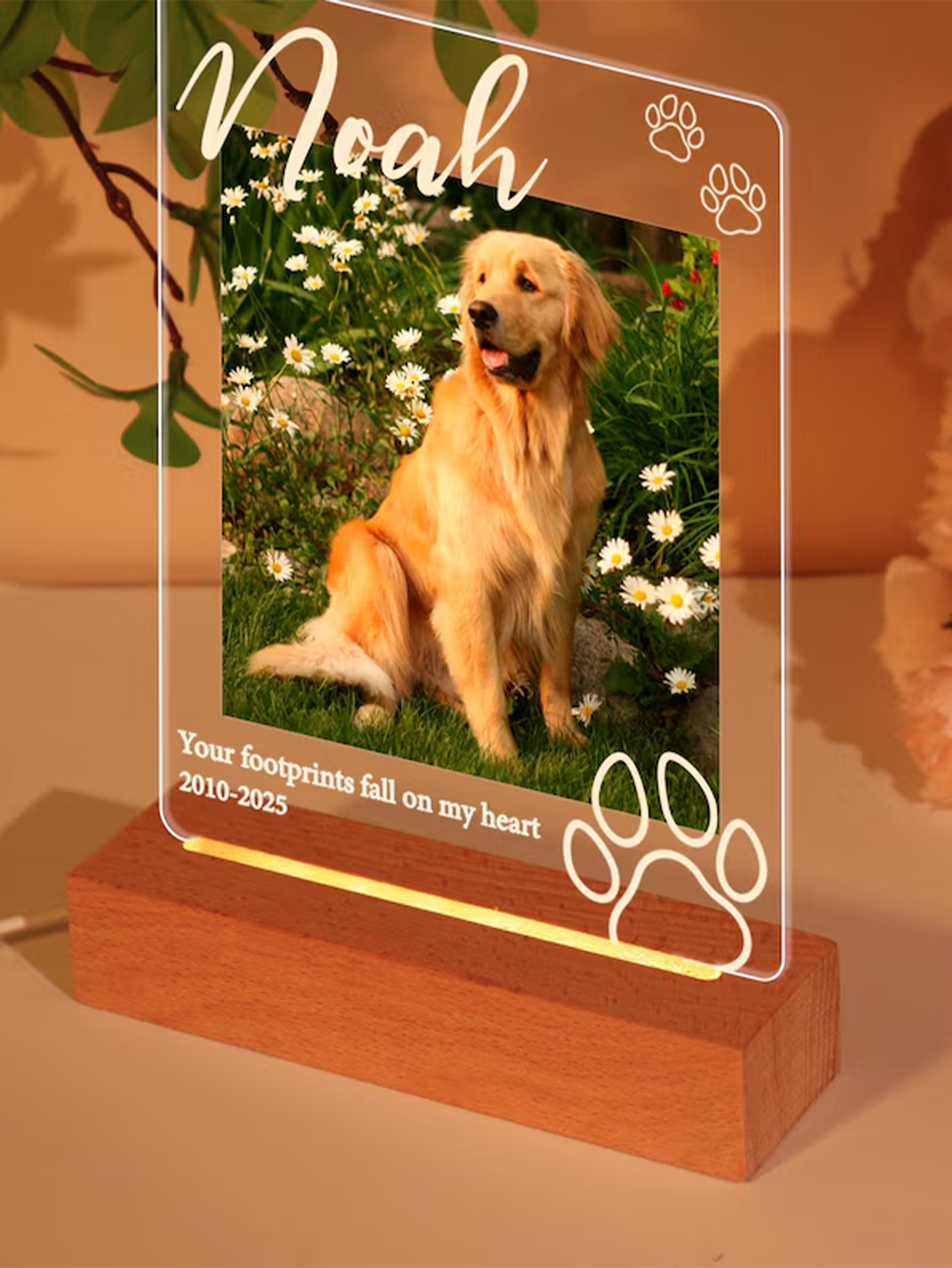 Personalized Pet Memorial Night Light