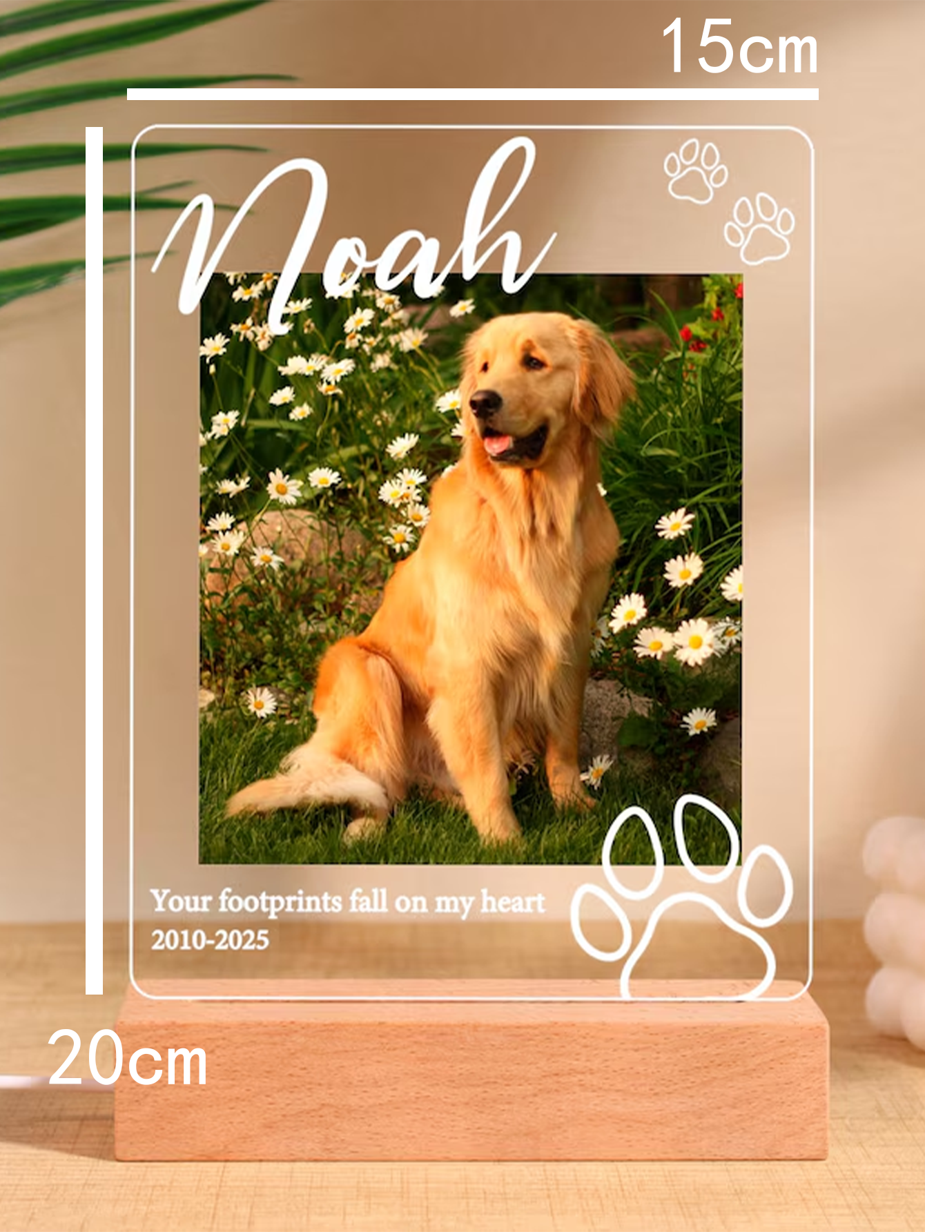 Personalized Pet Memorial Night Light