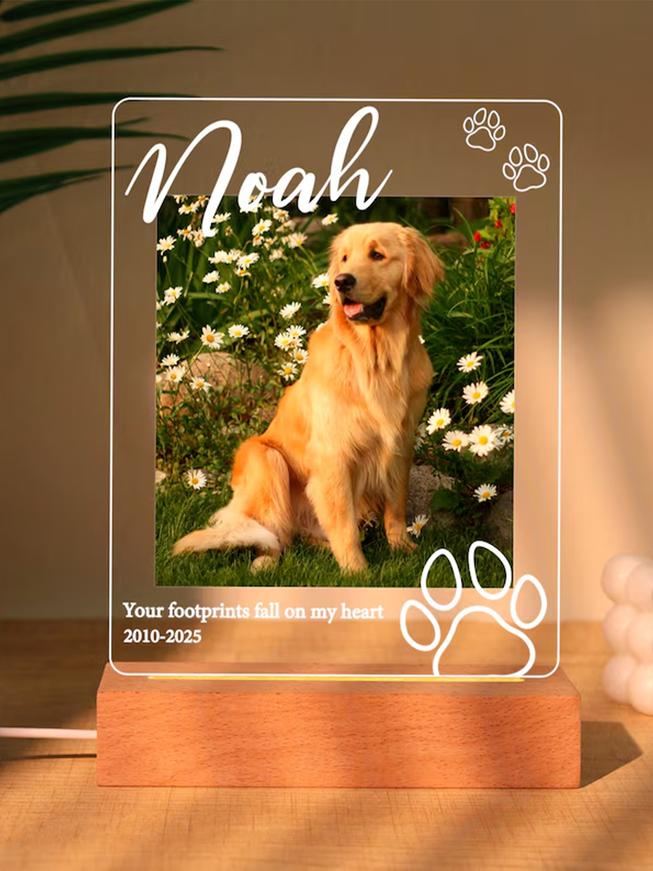 Personalized Pet Memorial Night Light