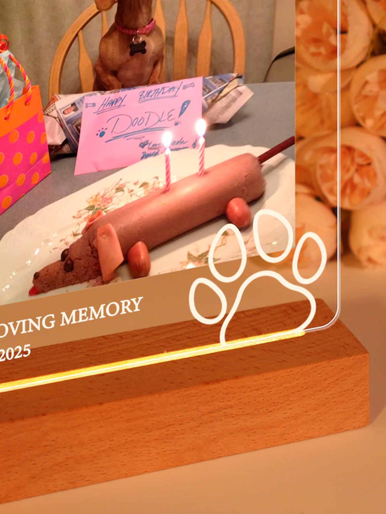 Personalized Pet Memorial Night Light